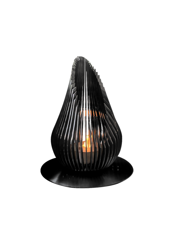Tulip 80