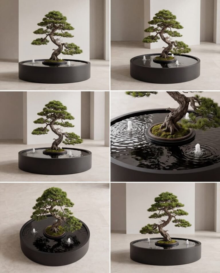 ENS Architectural Bonsai & Pot Pool